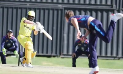 Cricket Cranes Crumble as Namibia Storm to Sequence Glory » The Touchline Sports activities