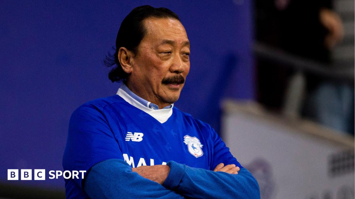 Vincent Tan watches a Cardiff game while wearing the club's shirt