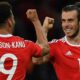 Wales fans at Euro 2016